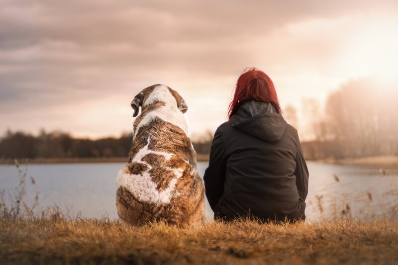 Best friends looking out over the lake (picture taken with Nikon D7200 and Nikon AF-S 50mm f/1,8 G)