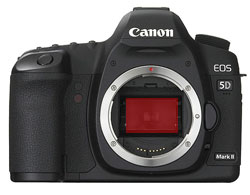 Sensor on Canon EOS 5D Mark II